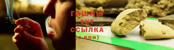 гидра Алексеевка