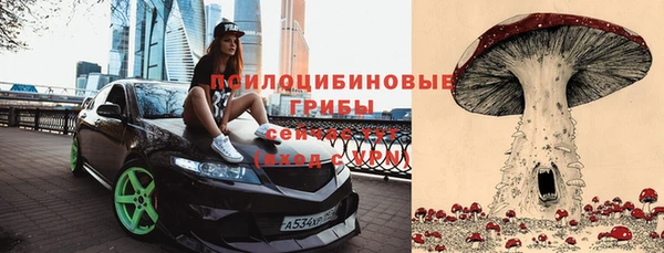 экстази Алексин