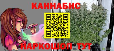 гашик Ирбит