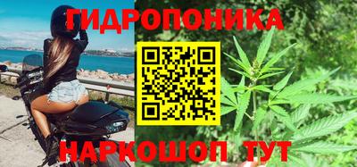 гашик Ирбит