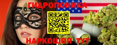 гашик Ирбит