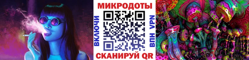Галлюциногенные грибы Cubensis  Санкт-Петербург 