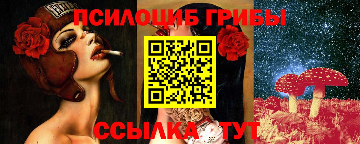 где купить   Галлюциногенные грибы Cubensis  Вход с VPN  Санкт-Петербург 